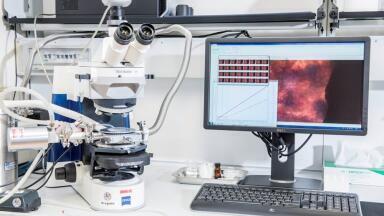 Report on the Work of Dr Henning Gieseler in the Field of Pharmaceutical Freeze Drying
